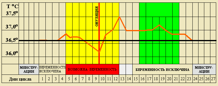 график базальной темперетуры