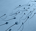 Больные сперматозоиды