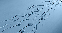 Больные сперматозоиды