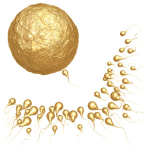 Золотые сперматозоиды